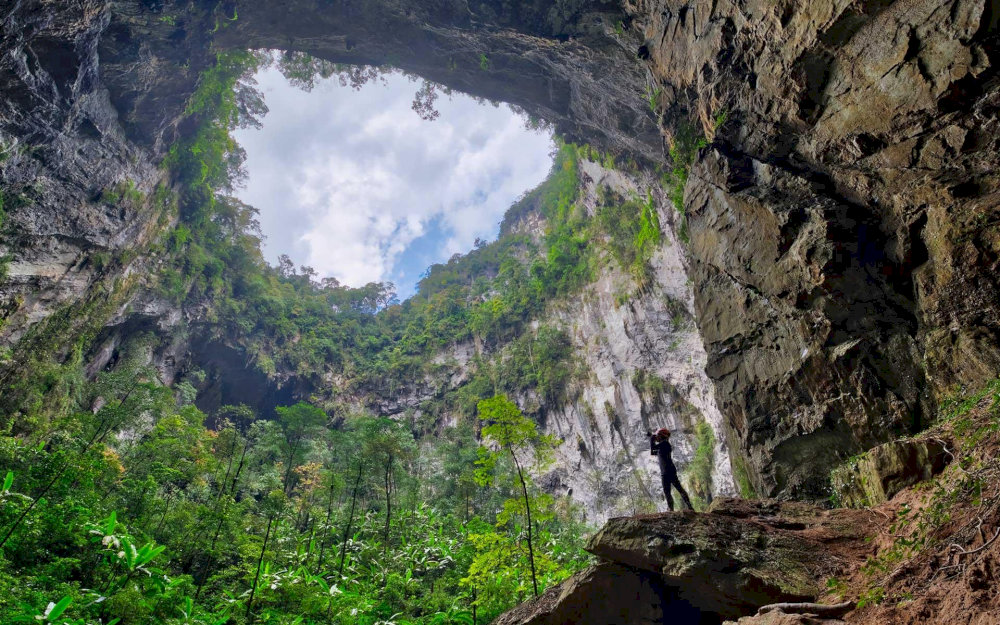 These massive openings support patches of jungle and rare ecosystems within the cavern
